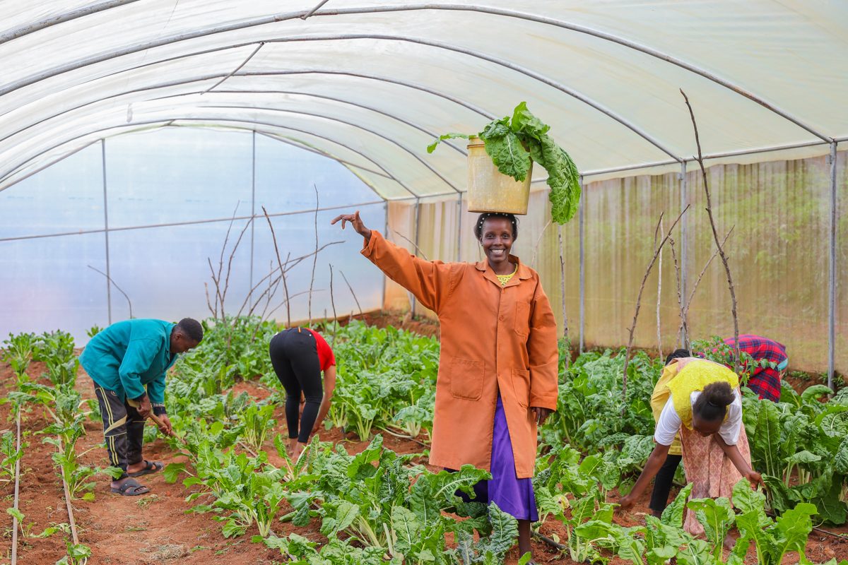 People visiting a farm